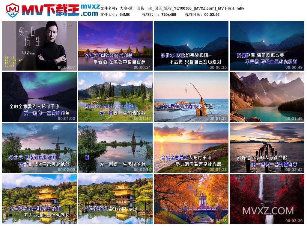 大度-爱一回伤一生_国语_流行_YE100386